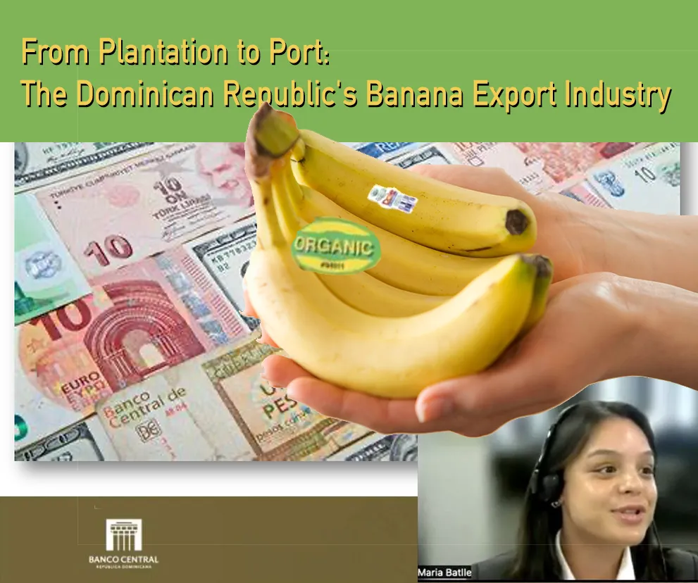 Did you know your banana might be statistically more Dutch than Dominican?