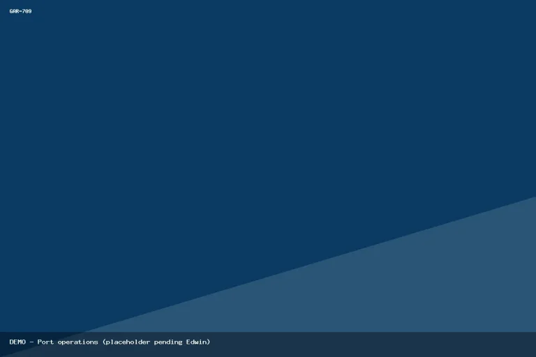 Demo placeholder — Port operations — pending Edwin replacement
